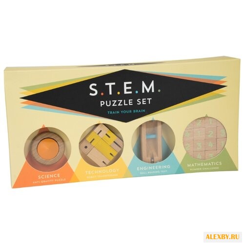 Набор головоломок Professor