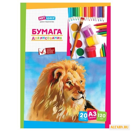 Папка для рисования ArtSpace