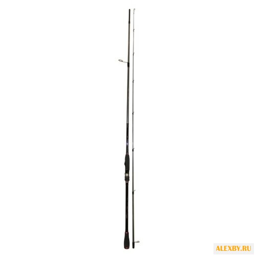 Удилище спиннинговое Black Hole