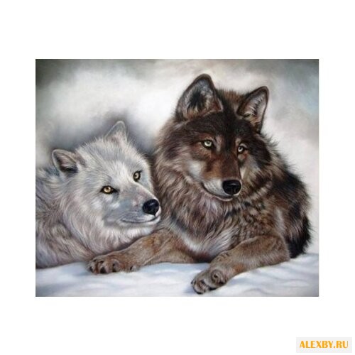 Алмазная живопись Набор