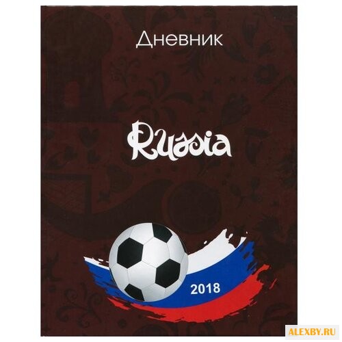 Бриз Дневник школьный Футбол