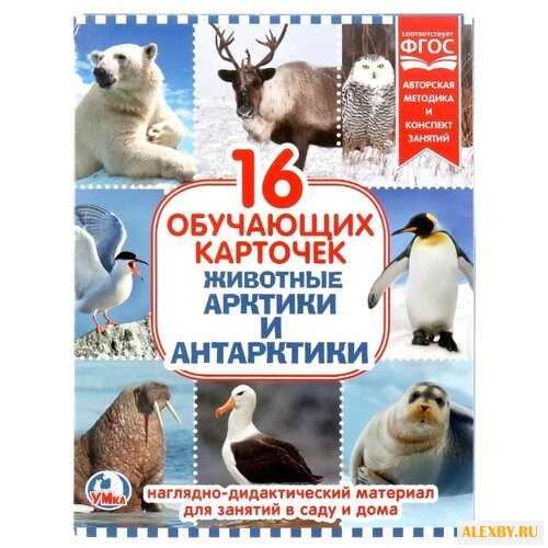 Набор карточек Умка Животные