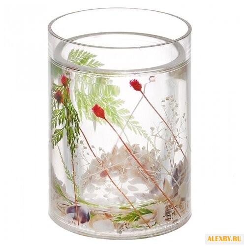 Стакан Vanstore Маки 857-06