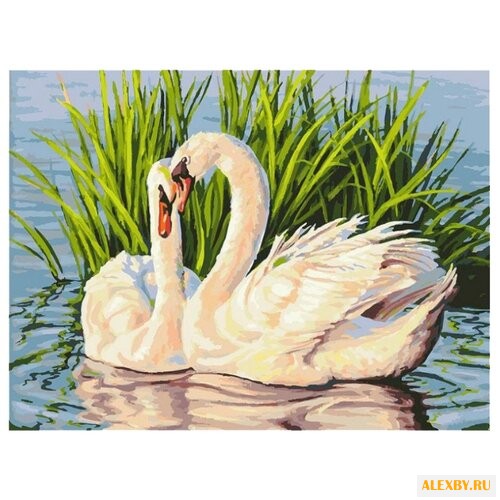 Белоснежка Картина по номерам