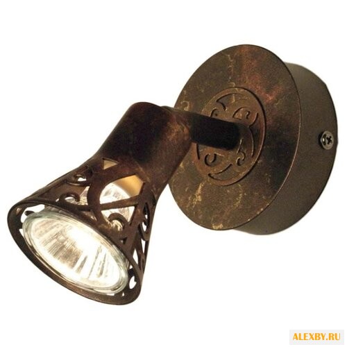 Купить Спот Citilux Винон CL519514