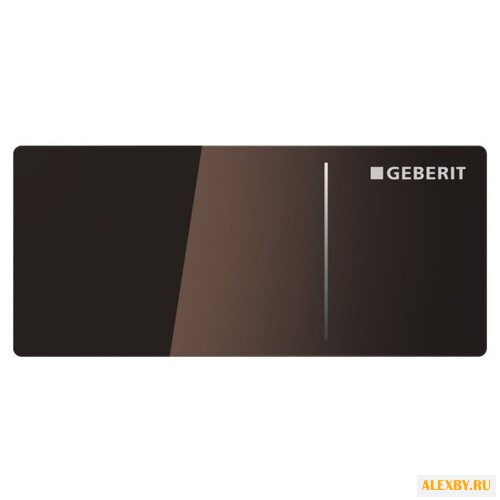 Кнопка смыва GEBERIT