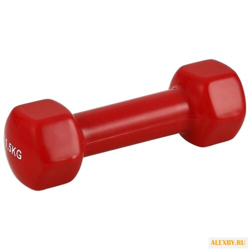 Гантель цельнолитая BRADEX SF