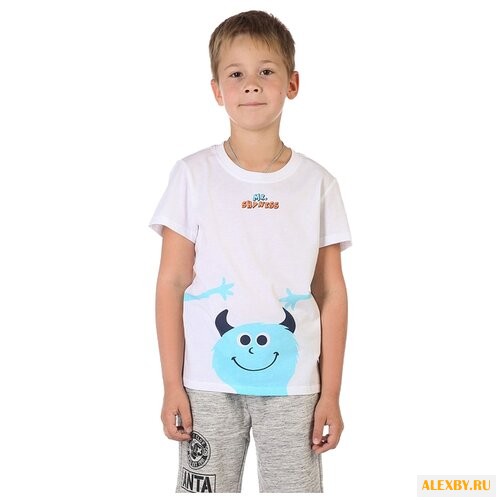 Футболка ANTA