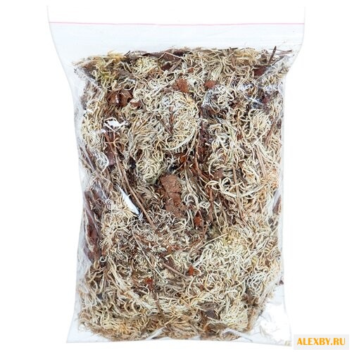 Мох сфагновый Morris Green 0.7