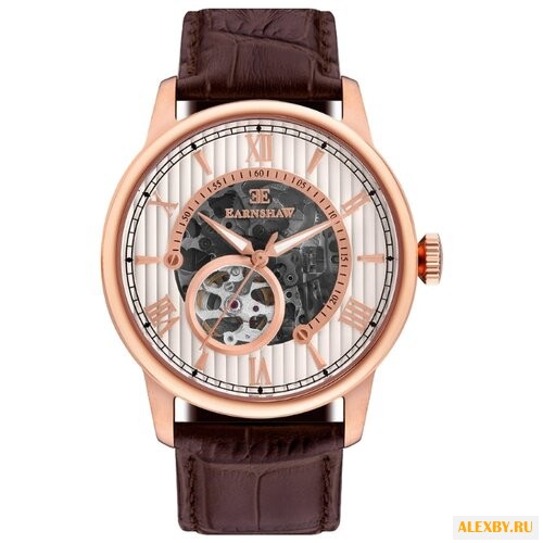 Наручные часы EARNSHAW ES-8802-04