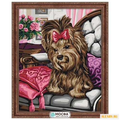 Мосфа Картина по номерам Йорк