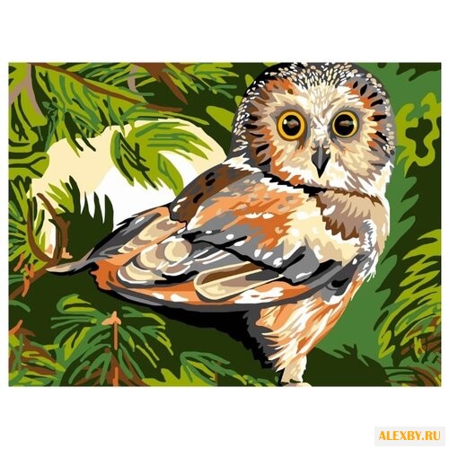 Color Kit Картина по номерам