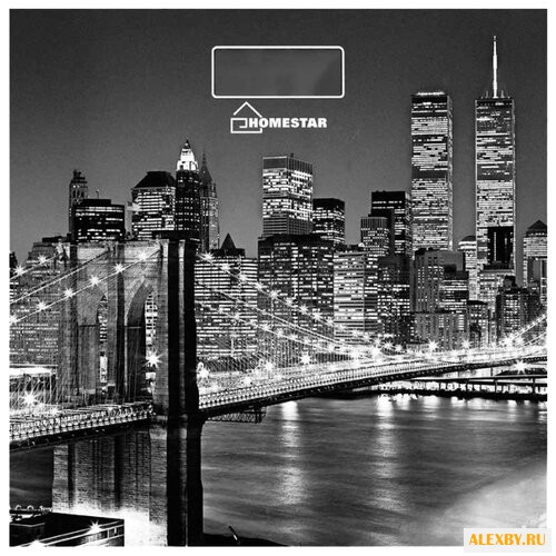 Весы HOMESTAR HS-6001E