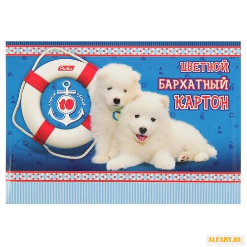 Цветной картон бархатный Два