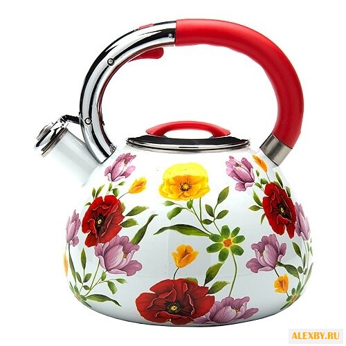 MAYER & BOCH Чайник 23853 35 л