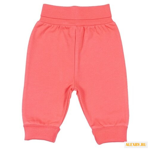 Брюки cherubino