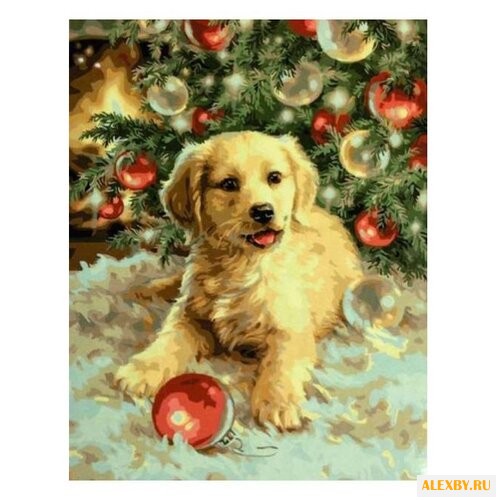 Hobbart Картина по номерам