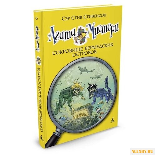 Стивенсон С. Агата Мистери.