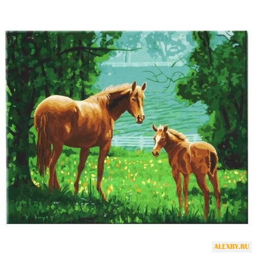 Hobbart Картина по номерам