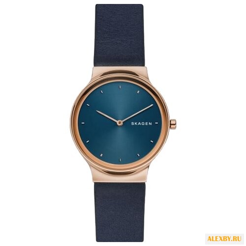 Наручные часы SKAGEN SKW2706