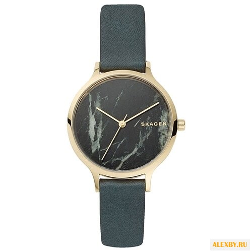 Наручные часы SKAGEN SKW2720