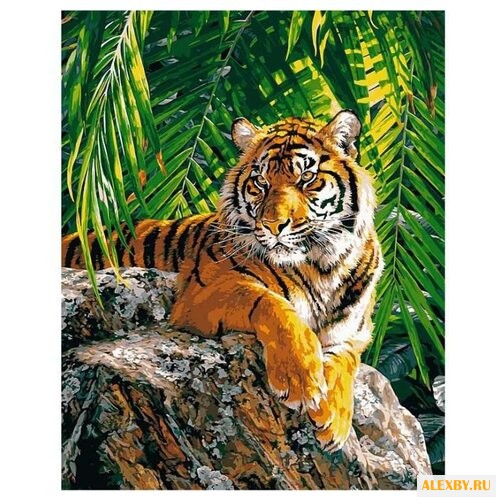 Paintboy Картина по номерам