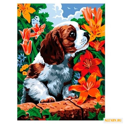 Белоснежка Картина по номерам