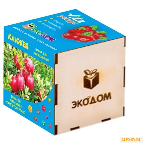 Набор Эко Клуб Vita Ресурс