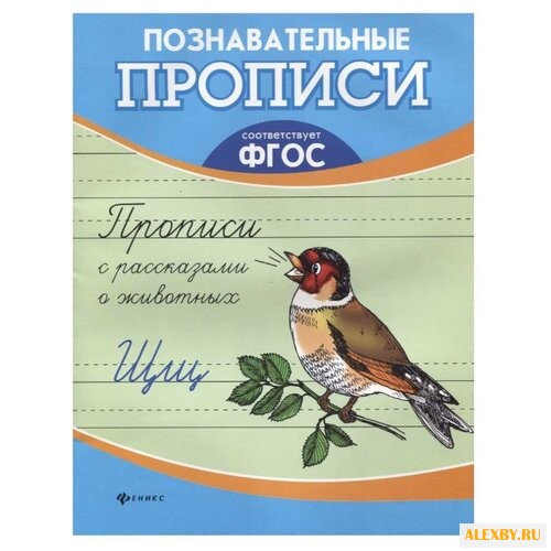 Орлова Т. Познавательные