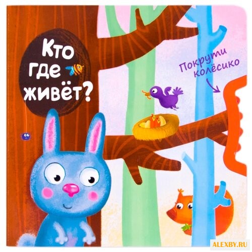 Вилюнова В. А. Покрути