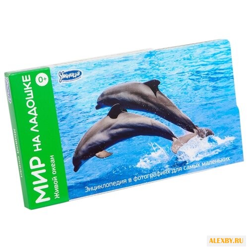 Набор карточек Умница Мир на