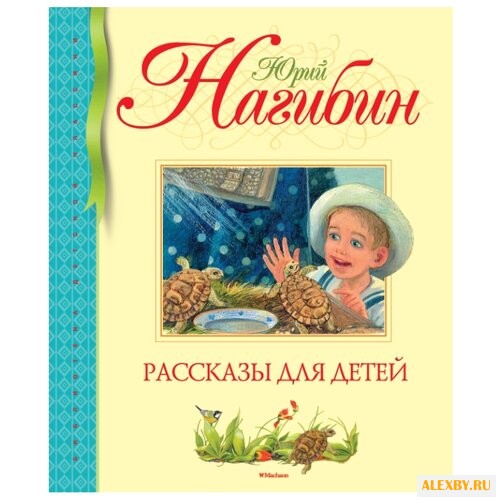 Нагибин Ю. Библиотека детской
