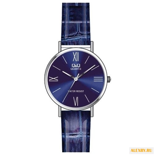 Наручные часы Q&Q Q979 J827