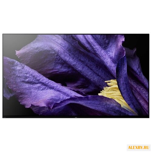 Телевизор Sony KD-65AF9