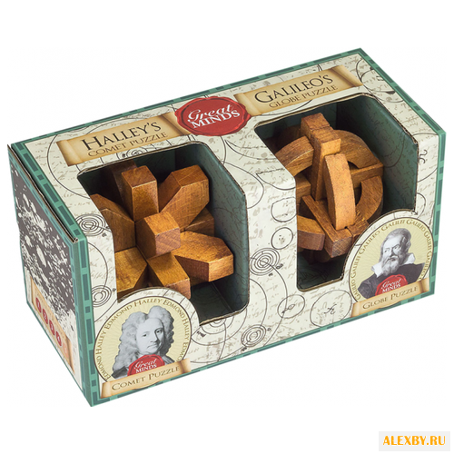 Набор головоломок Professor