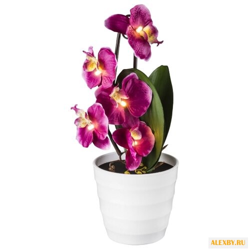 Настольная лампа Globo Lighting