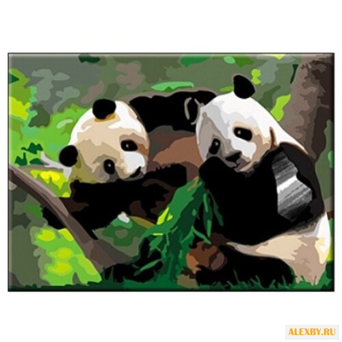 Рыжий кот Картина по номерам