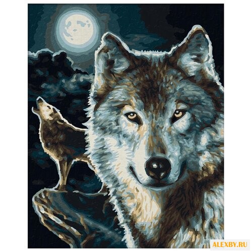 Schipper Картина по номерам