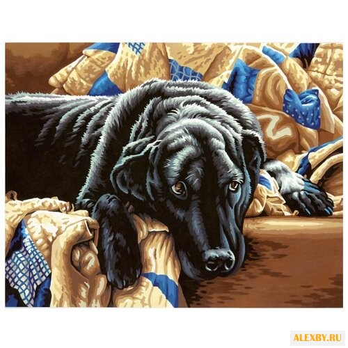 Dimensions Картина по номерам