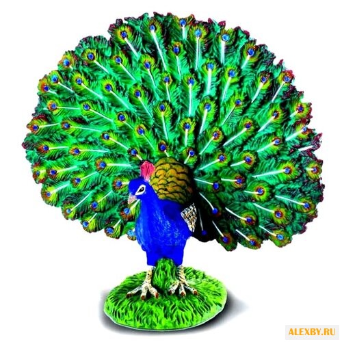 Collecta Павлин 88209