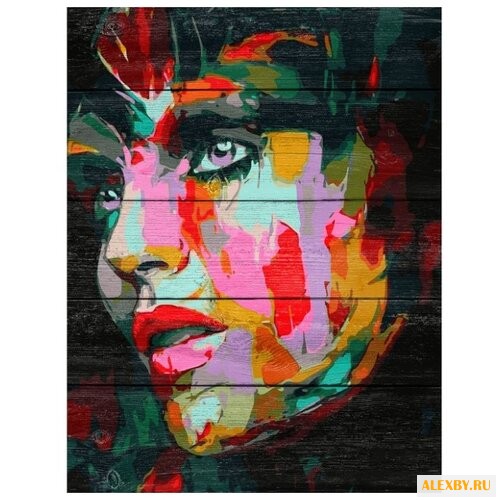 DALI Картина по номерам Женский