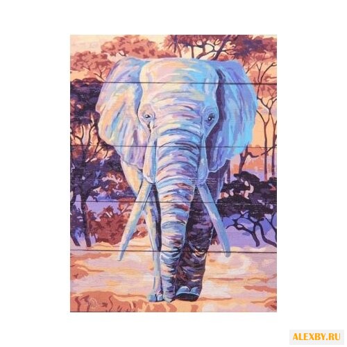 DALI Картина по номерам Яркий
