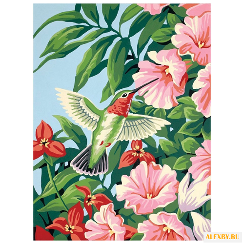 Dimensions Картина по номерам