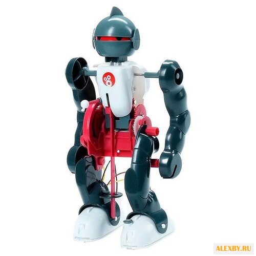 Набор BONDIBON Юный