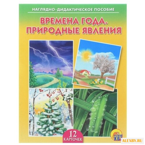 Набор карточек Рыжий кот