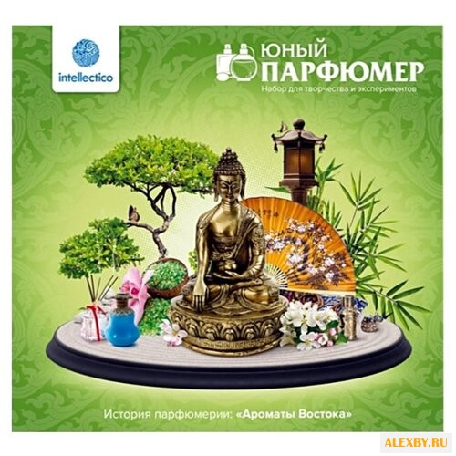 Intellectico Юный парфюмер.