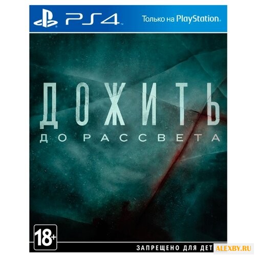 Дожить до рассвета