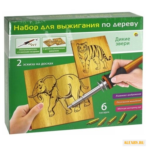 Рыжий кот Набор для выжигания