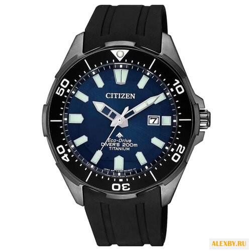 Наручные часы CITIZEN BN0205-10L