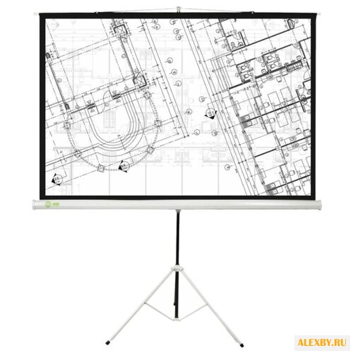 Рулонный матовый белый экран